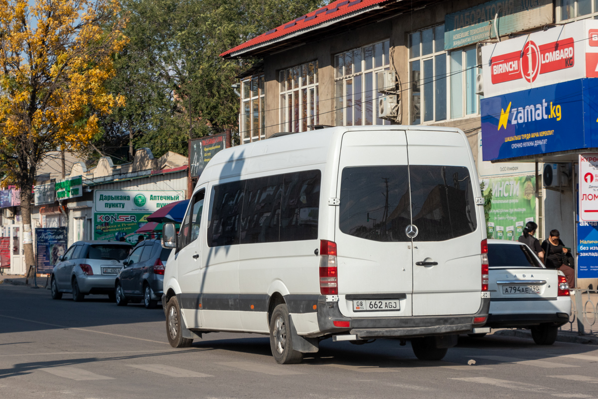 Кыргызстан, Mercedes-Benz Sprinter W906 313CDI № 08 662 AGJ