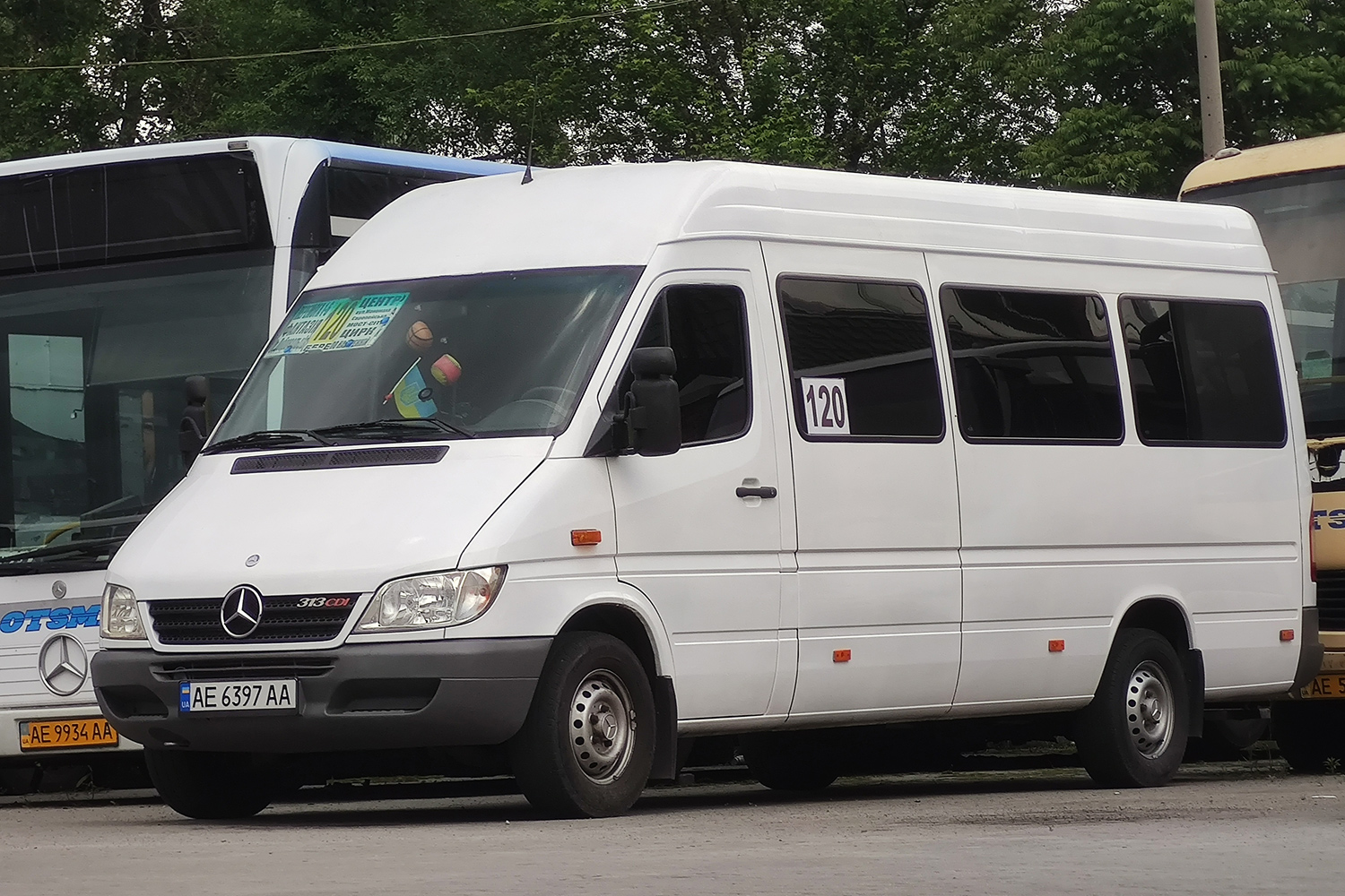 Днепропетровская область, Mercedes-Benz Sprinter W903 313CDI № AE 6397 AA