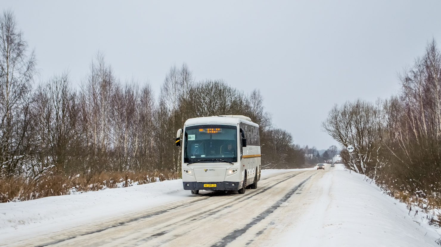 Московская область, ГолАЗ-529115-1x № 107299