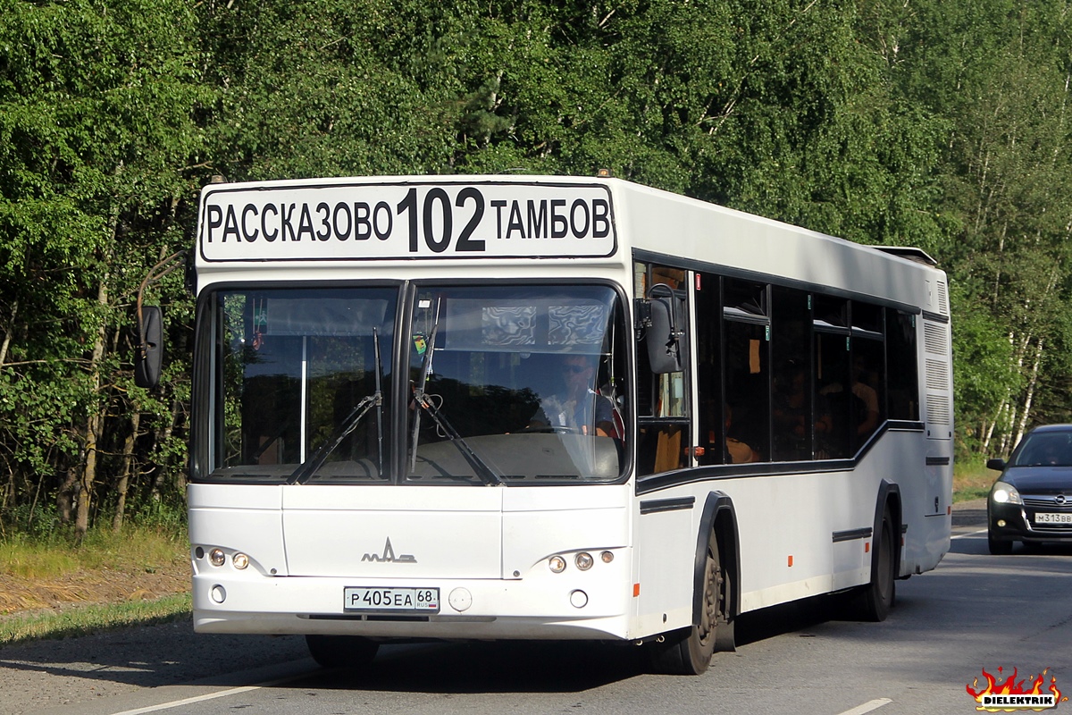 Тамбовская область, МАЗ-103.564 № Р 405 ЕА 68