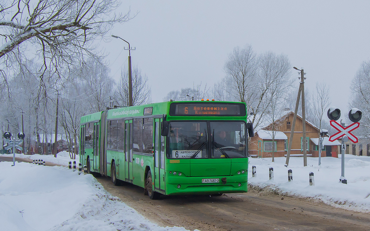 Витебская область, МАЗ-105.465 № 029955