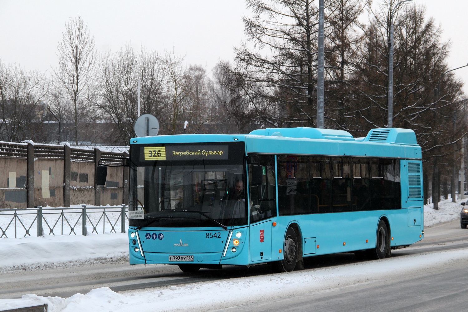 Санкт-Петербург, МАЗ-203.047 № 8542