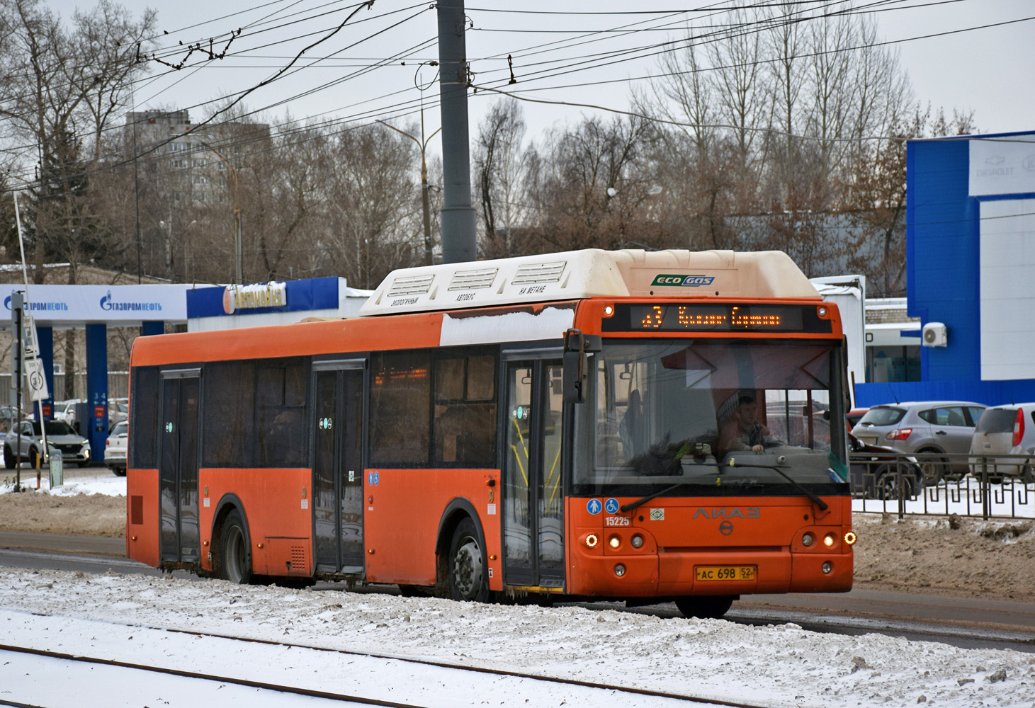 Нижегородская область, ЛиАЗ-5292.67 (CNG) № 15225