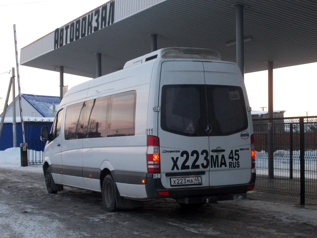 Курганская область, Луидор-223602 (MB Sprinter) № 1111