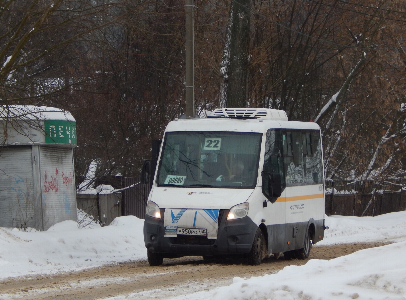 Московская область, Луидор-2250DS (ГАЗ Next) № 063097