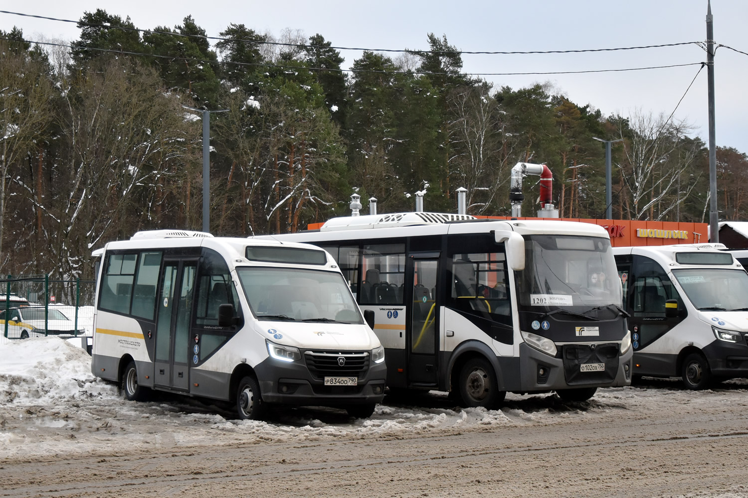 Московская область, ГАЗ-A68R52 City № 056019