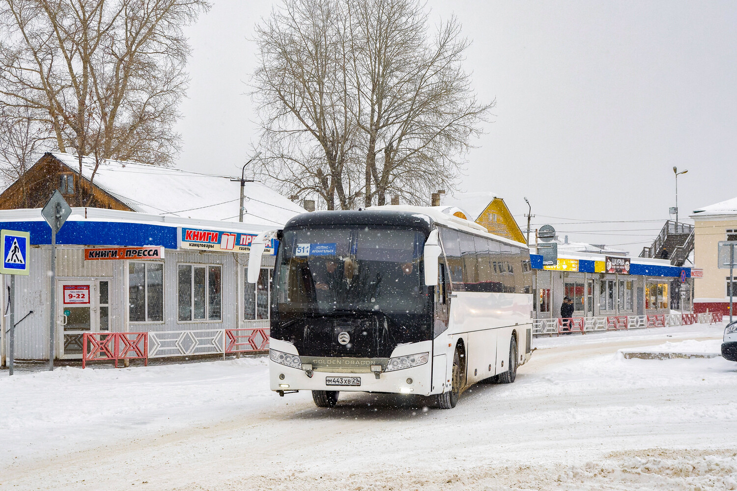 Архангельская область, Golden Dragon XML6127JR Snow Leopard № М 443 ХВ 29