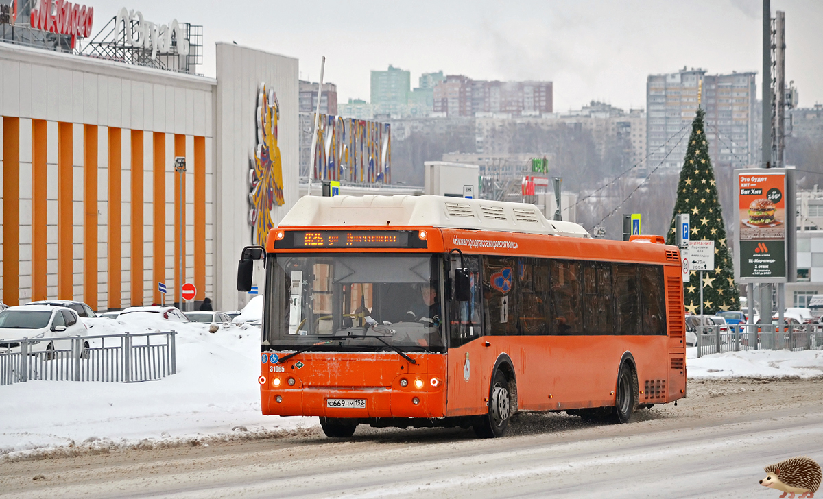 Нижегородская область, ЛиАЗ-5292.67 (CNG) № 31065