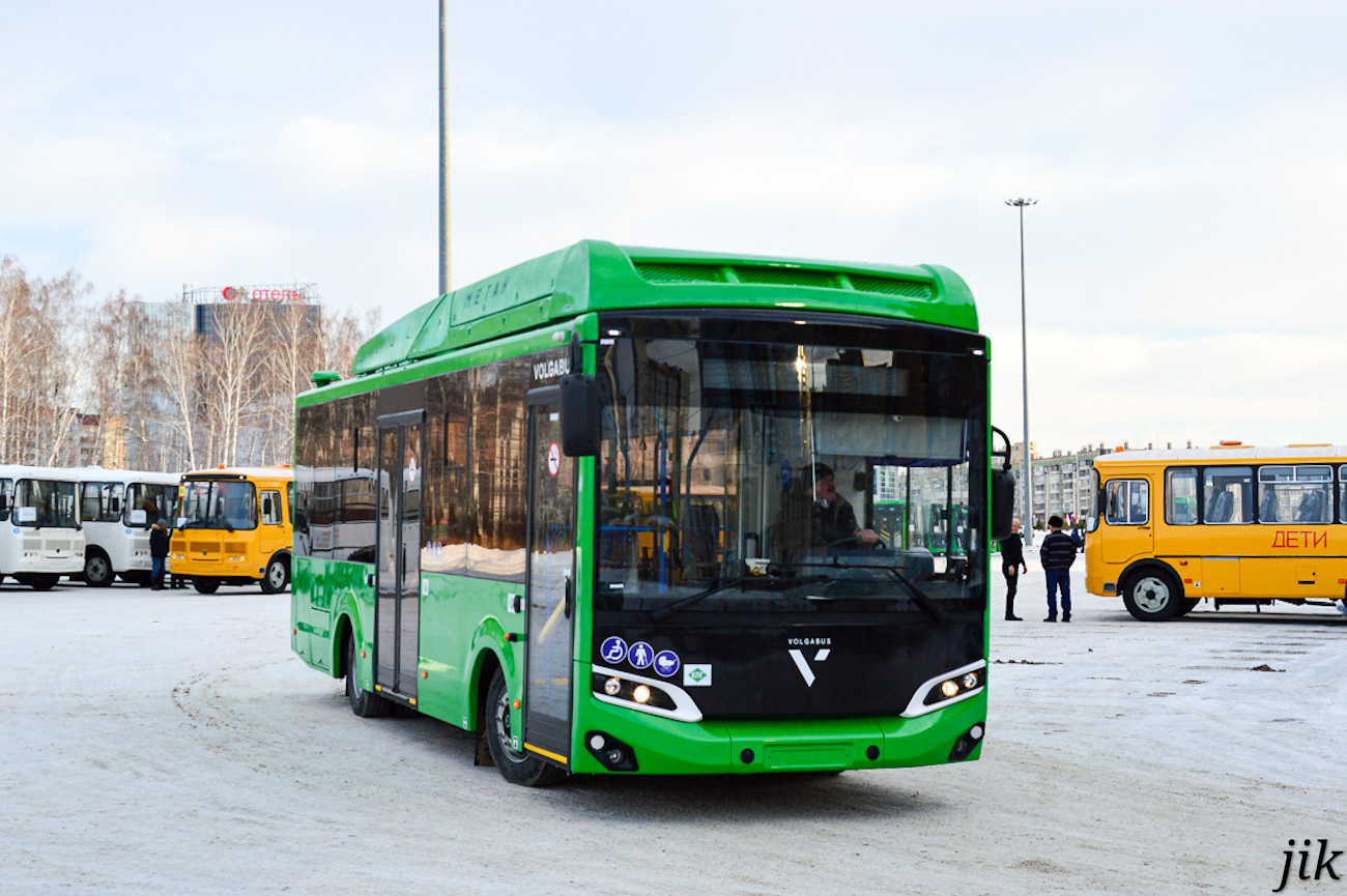 Челябинская область — Новые автобусы