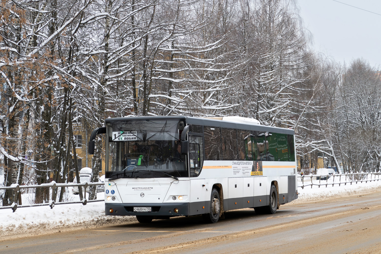 Московская область, ЛиАЗ-5250 № 091024