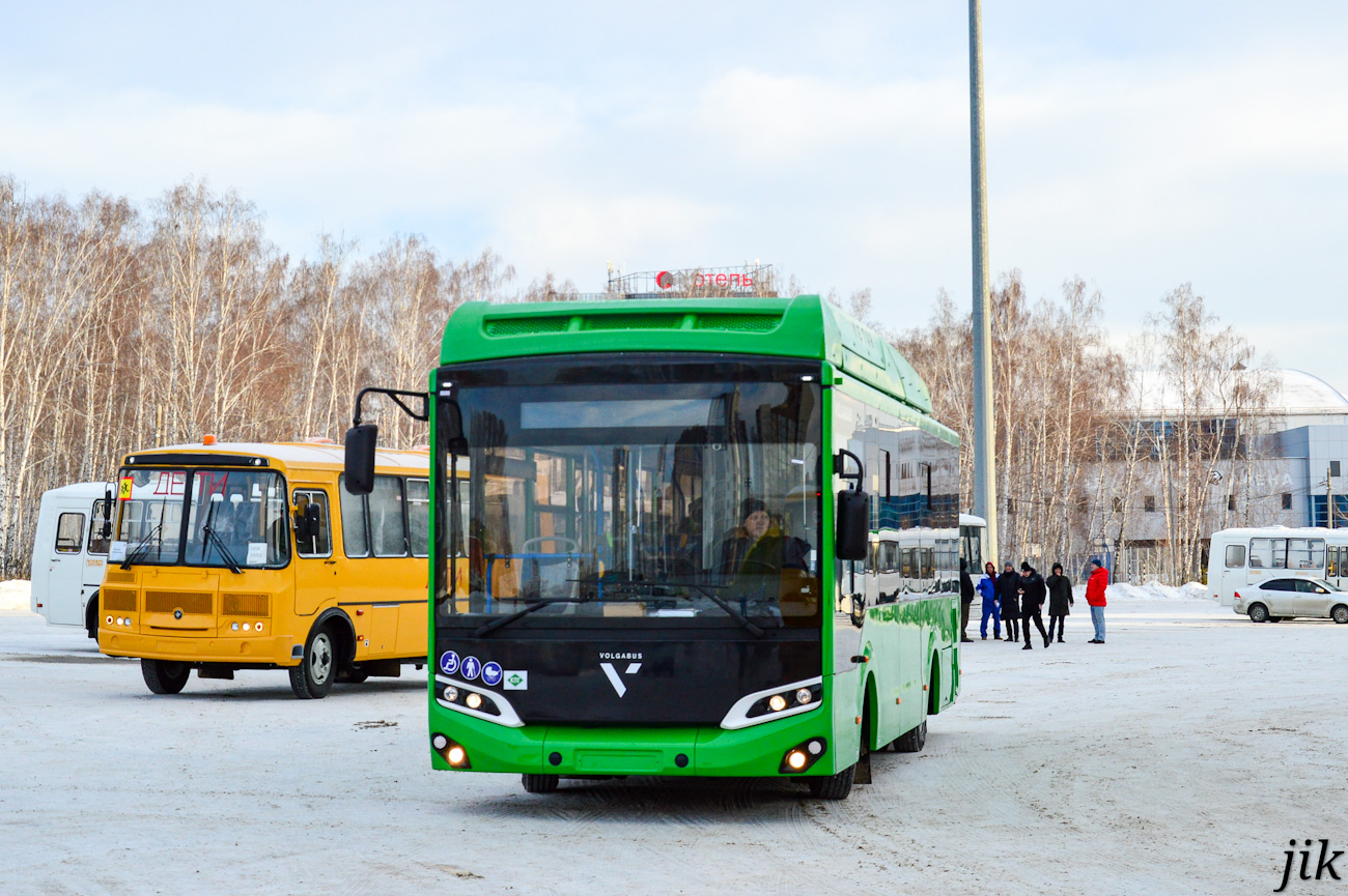 Челябинская область — Новые автобусы