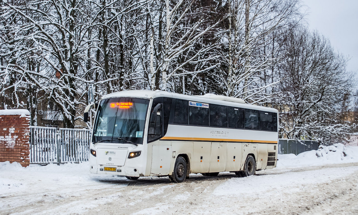 Московская область, ГолАЗ-529115-1x № 107677