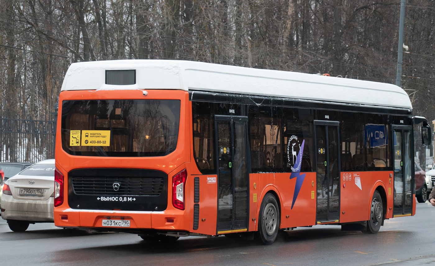 Нижегородская область — Новые автобусы