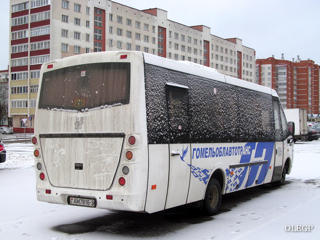 Гомельская область, Неман-420234-511 № АМ 7816-3