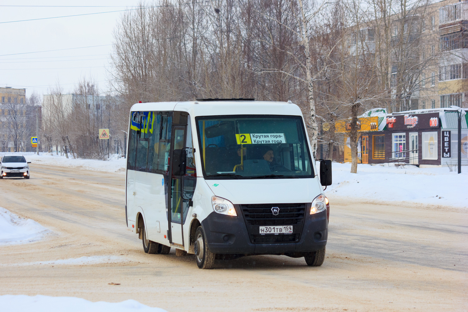 Пермский край, ГАЗ-A64R45 Next № Н 301 ТВ 159