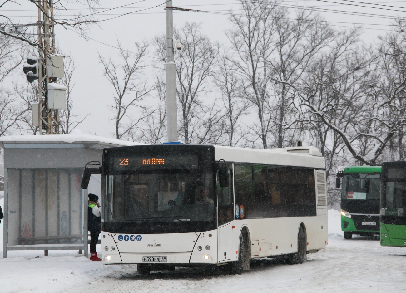 Пермский край, МАЗ-203.016 № Н 598 НВ 159