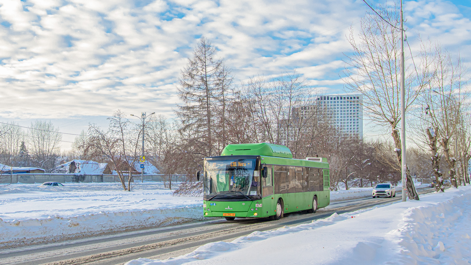 Свердловская область, МАЗ-203.L65 № 1669