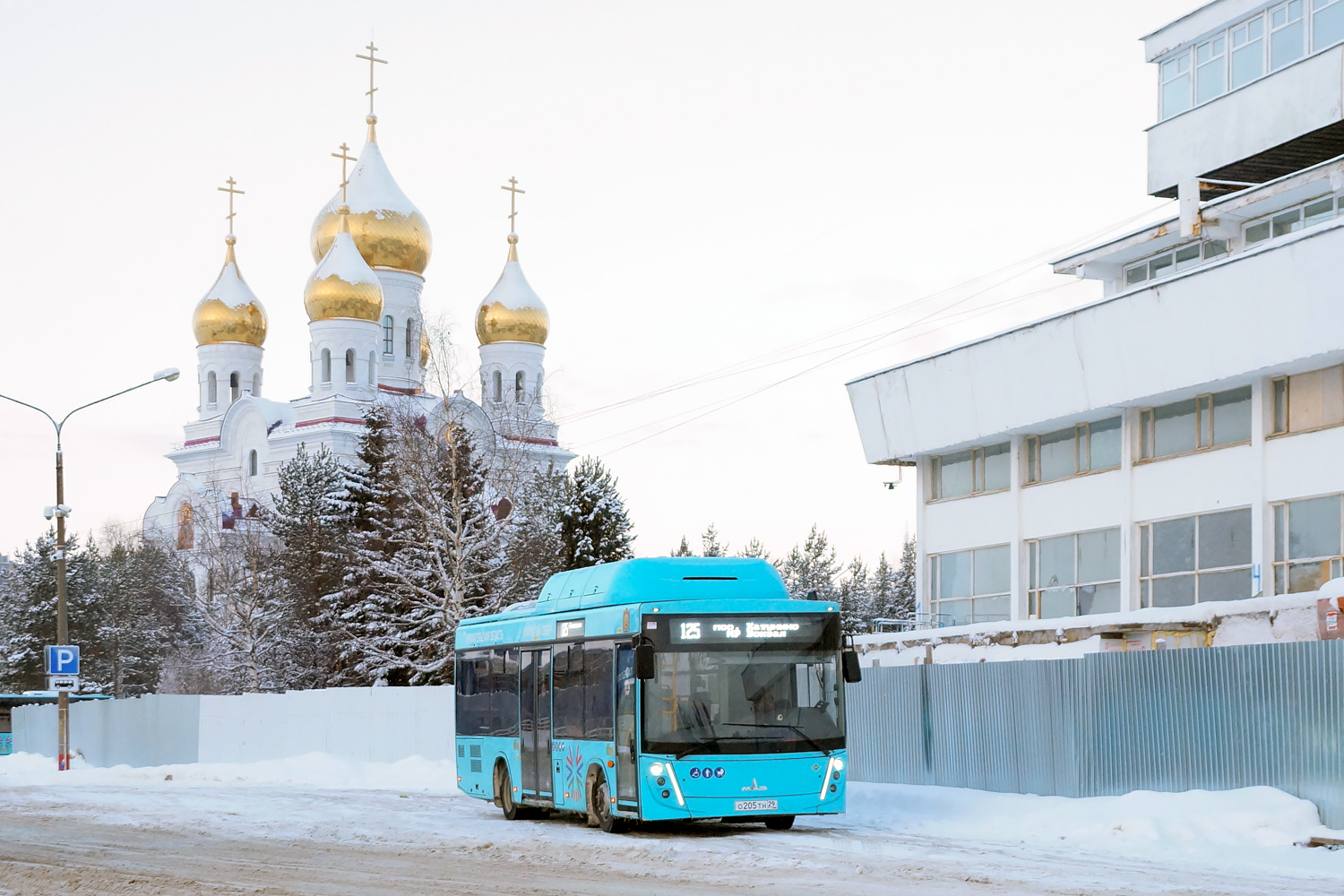 Архангельская область, МАЗ-206.948 № О 205 ТН 29