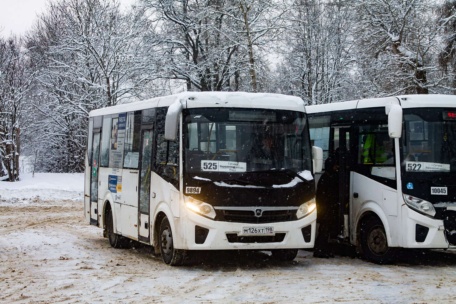 Leningradská oblast, PAZ-320405-04 "Vector Next" č. 9894