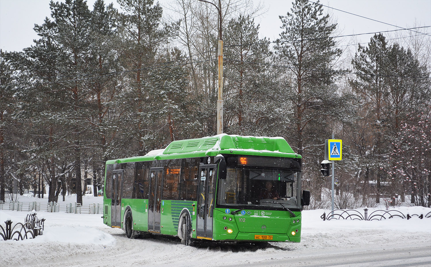 Тюменская область, ЛиАЗ-5292.67 (CNG) № 102