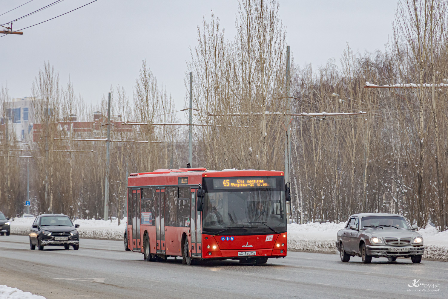 Татарстан, МАЗ-203.069 № 714