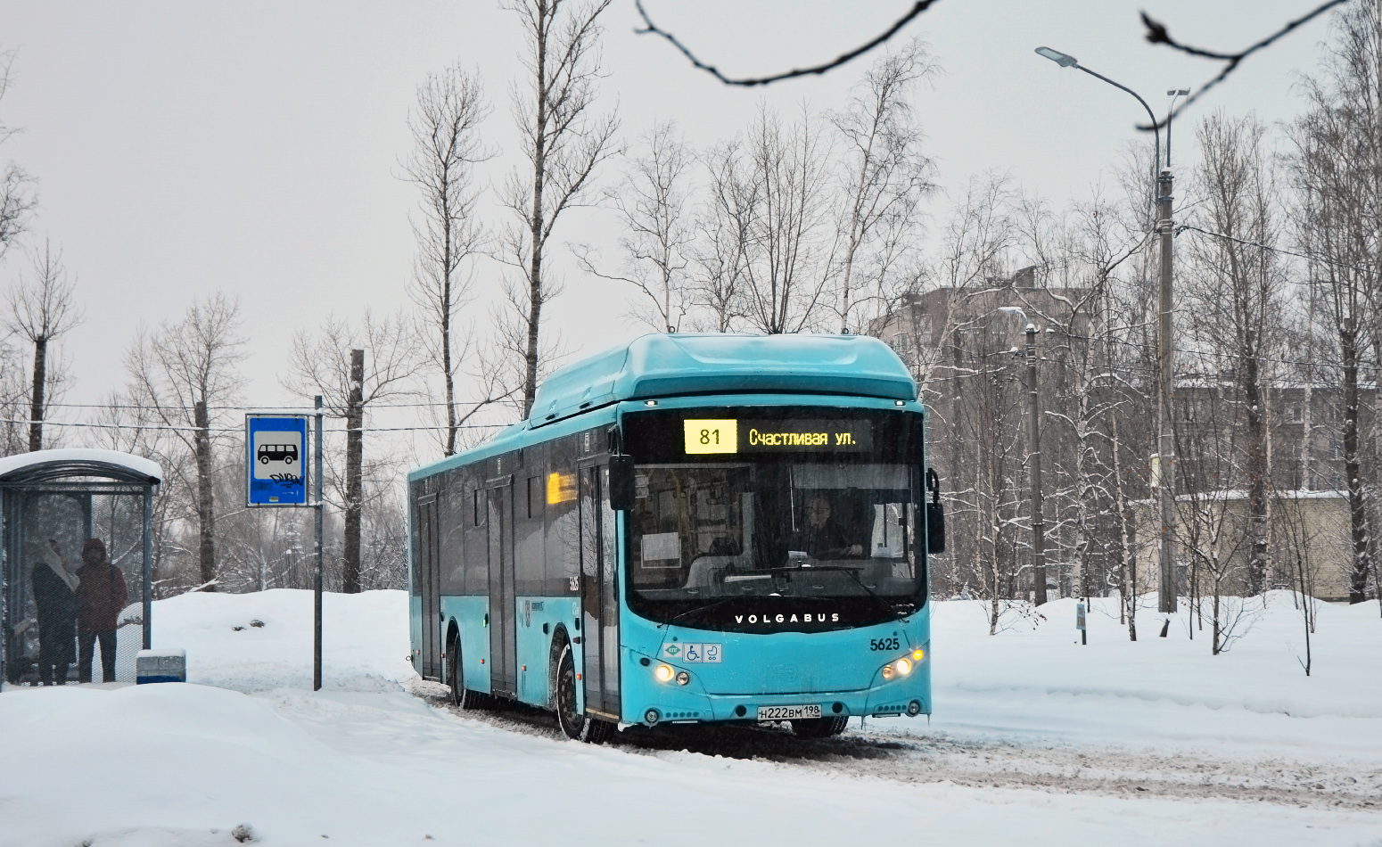 Санкт-Петербург, Volgabus-5270.G4 (CNG) № 5625