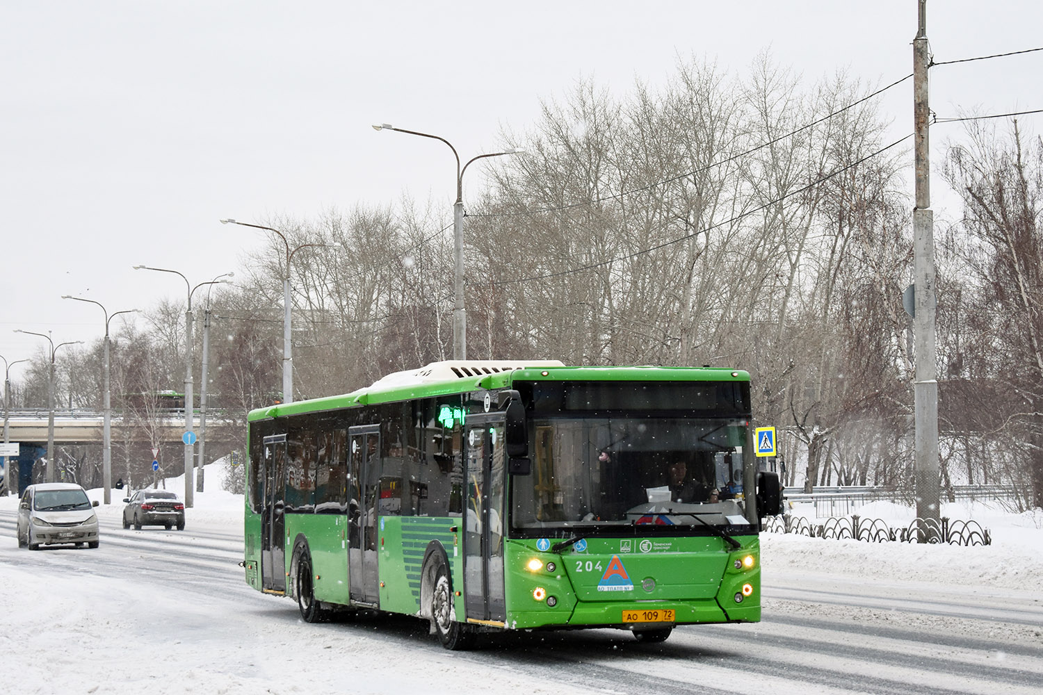 Тюменская область, ЛиАЗ-5292.65 № 204