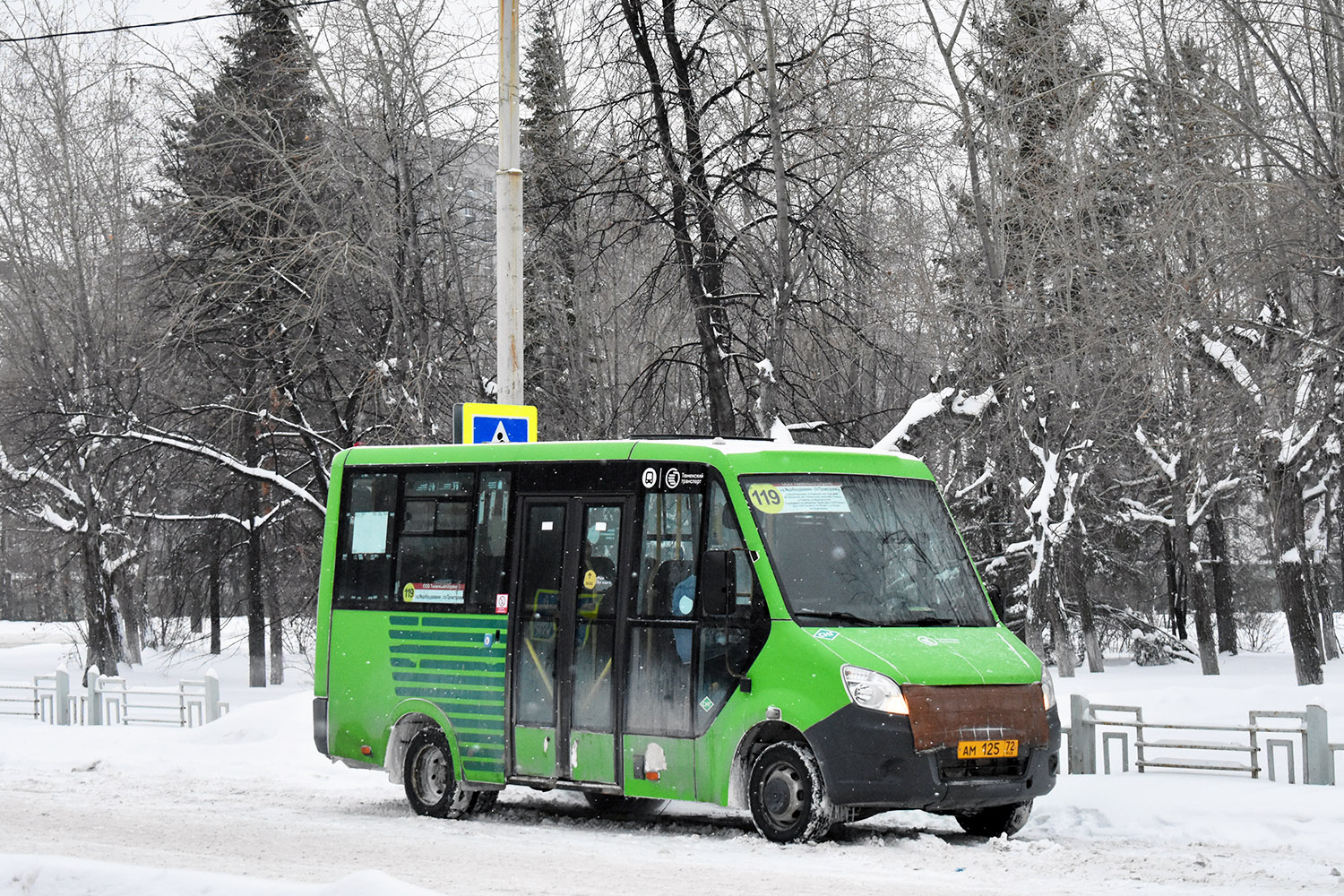 Тюменская область, Луидор-2250DS (ГАЗ Next) № АМ 125 72