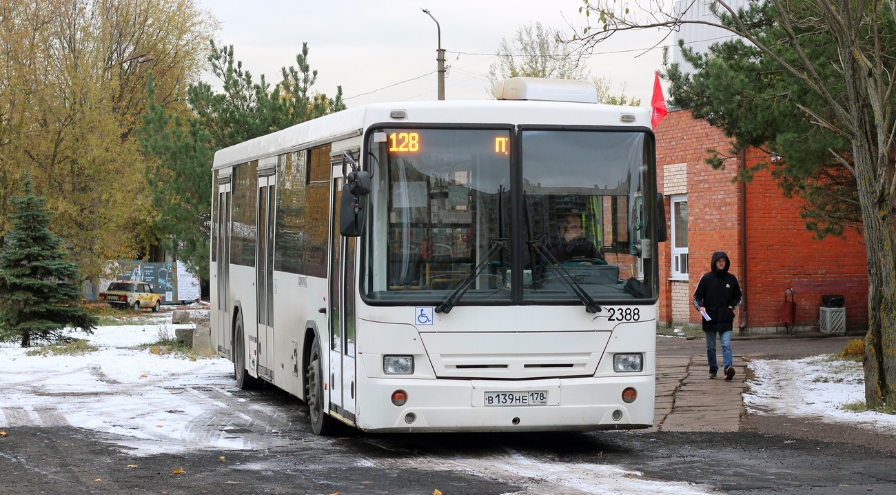 Sankt Petersburg, NefAZ-52994-40-42 Nr 2388