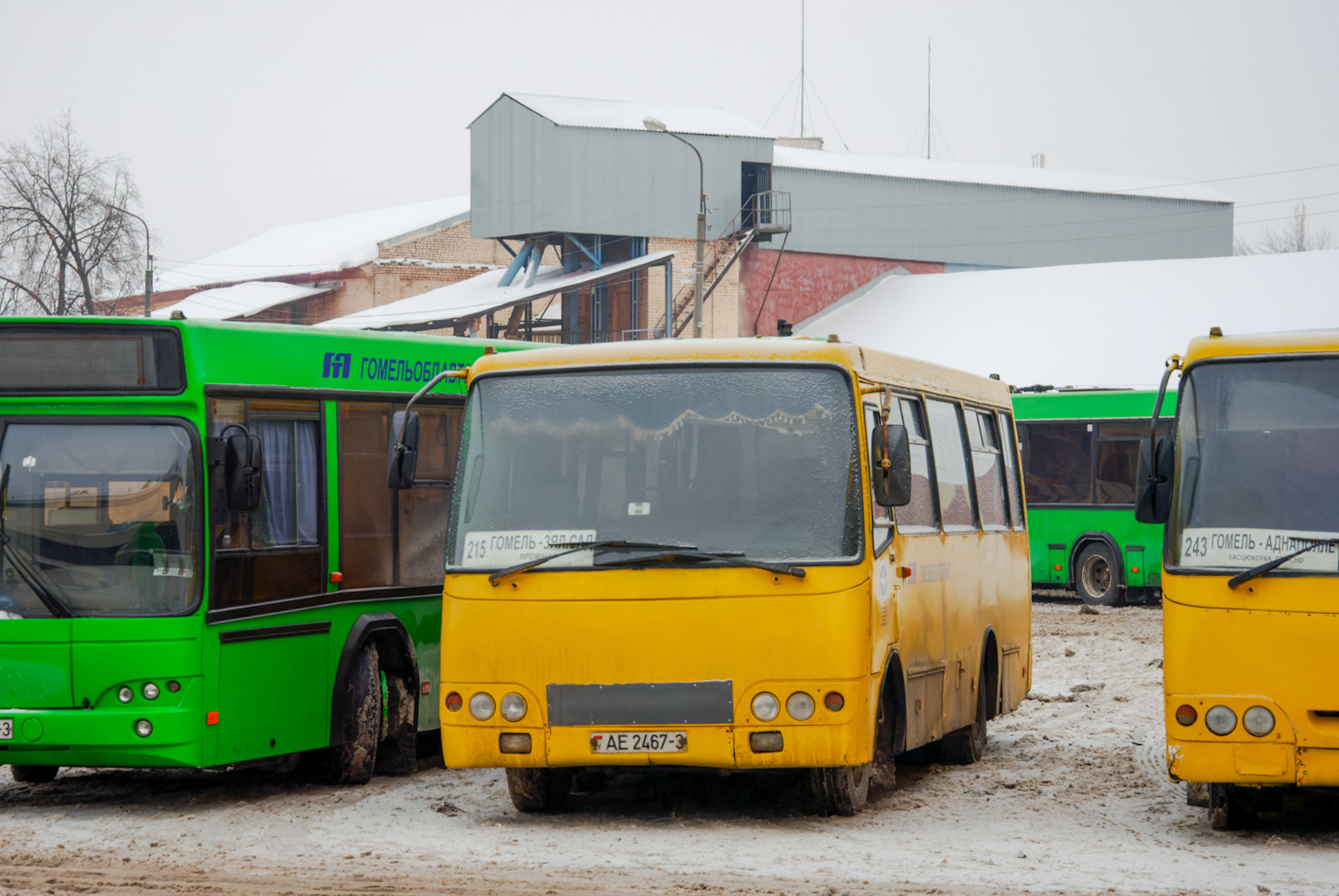 Гомельская область, ГАРЗ А092 "Радимич" № 036587