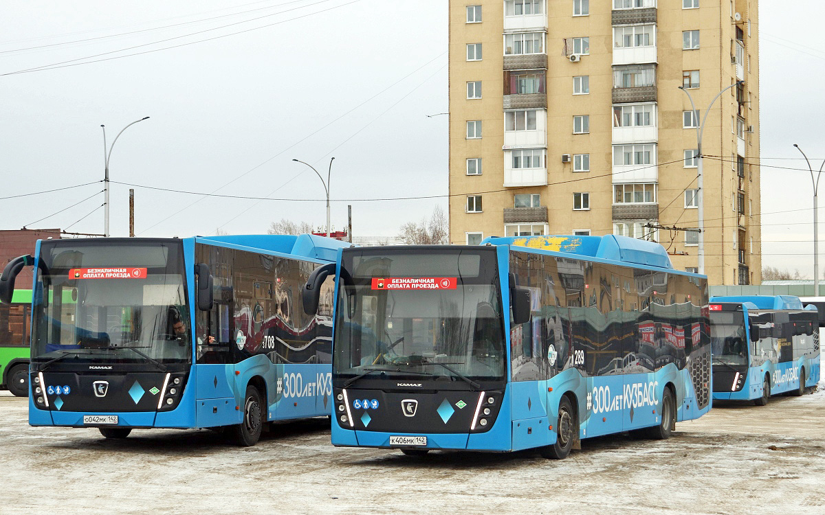 Kemerovo region - Kuzbass, NefAZ-5299-30-57 № 289