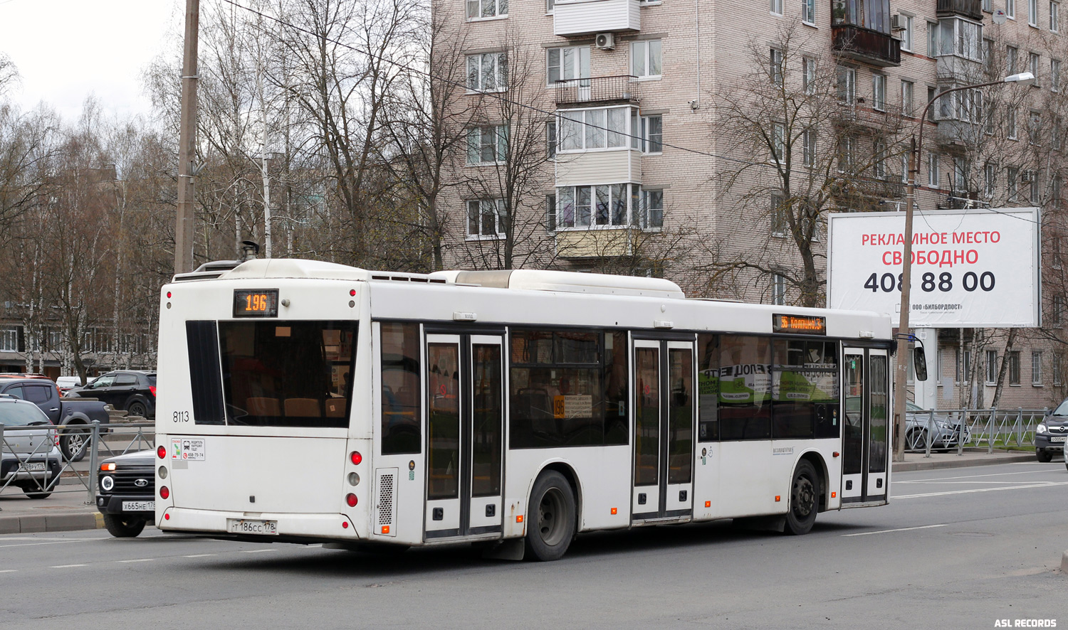 Санкт-Петербург, МАЗ-203.085 № 8113