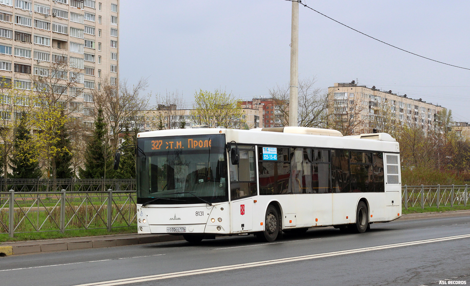 Санкт-Петербург, МАЗ-203.085 № 8131