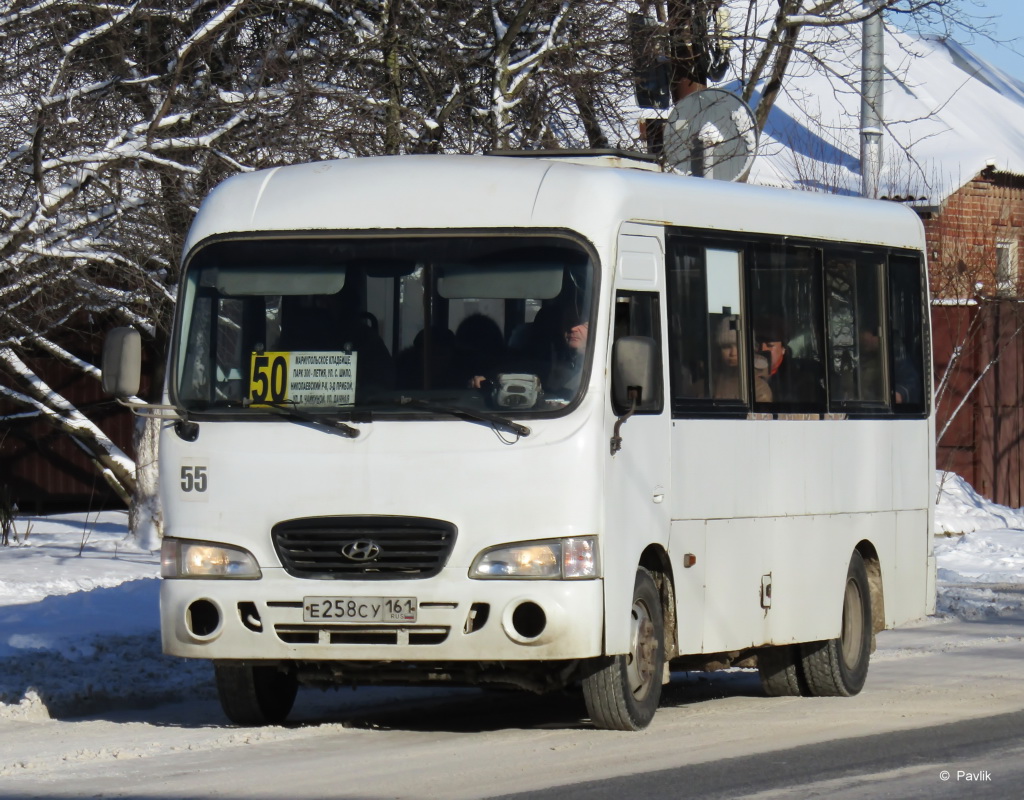 Ростовская область, Hyundai County LWB C09 (ТагАЗ) № 55