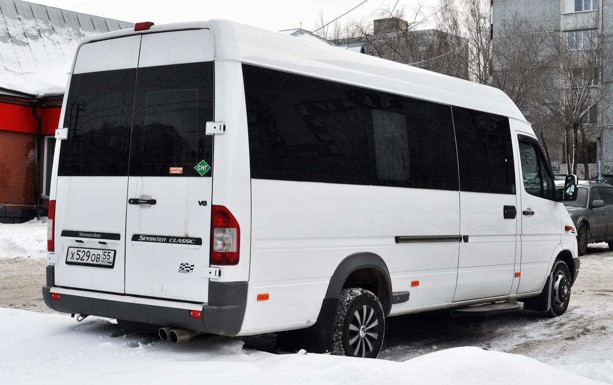 Омская область, Луидор-223201 (MB Sprinter Classic) № Х 529 ОВ 55