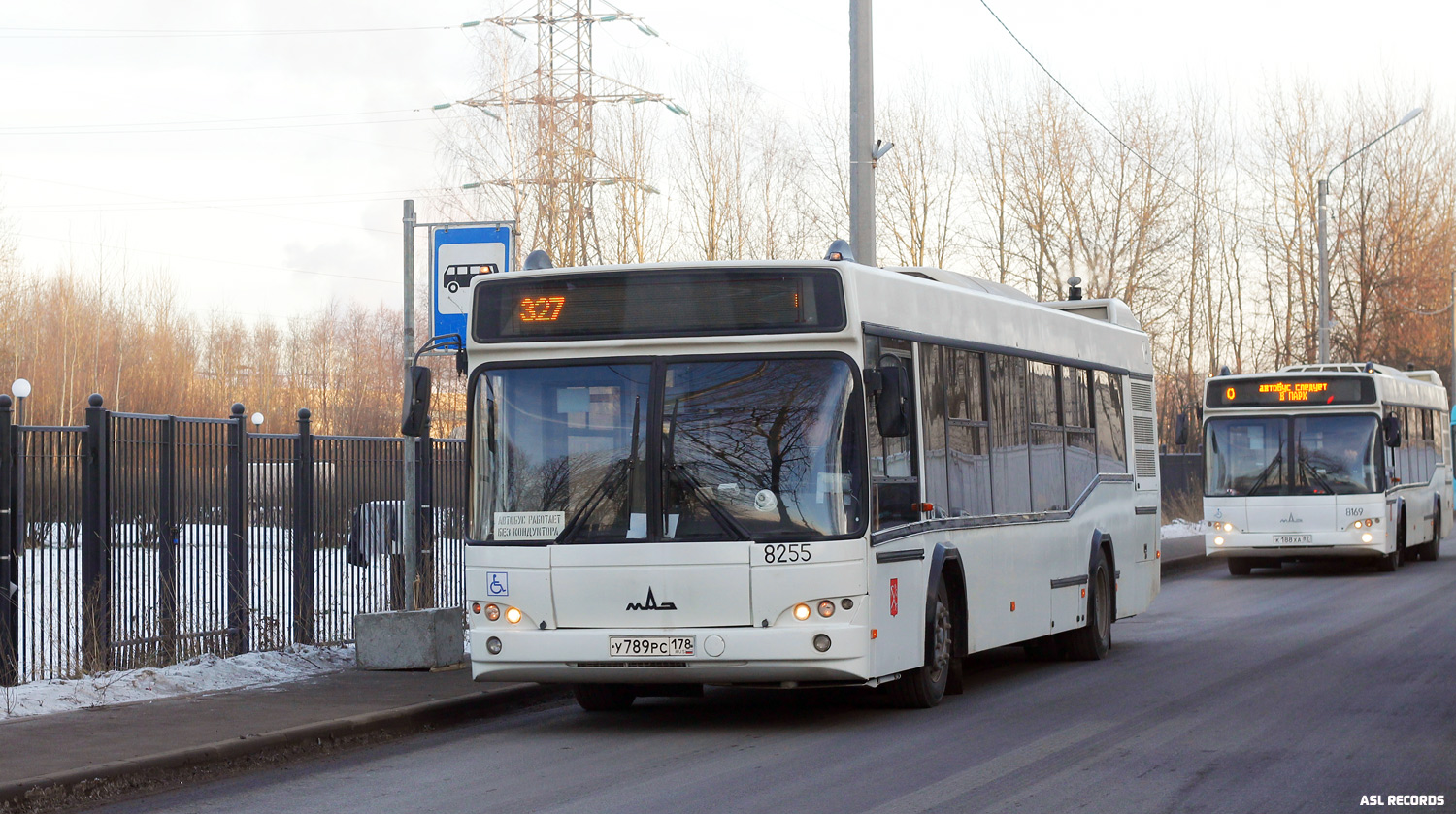 Санкт-Петербург, МАЗ-103.486 № 8255; Санкт-Петербург, МАЗ-103.486 № 8169