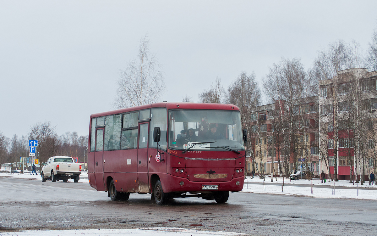 Vitebsk region, MAZ-256.270 Nr. 100612