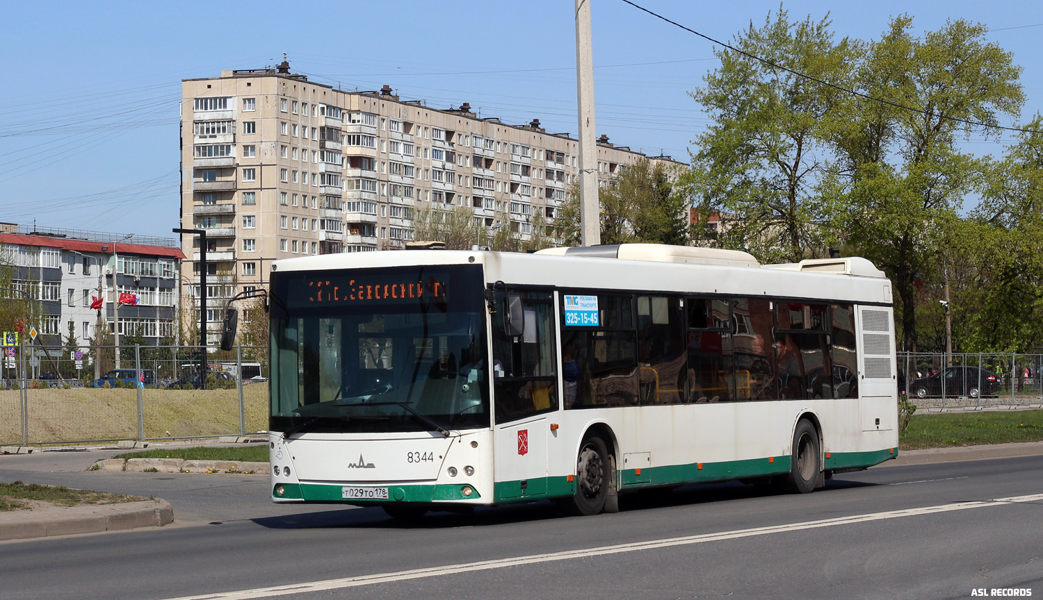 Санкт-Петербург, МАЗ-203.085 № 8344