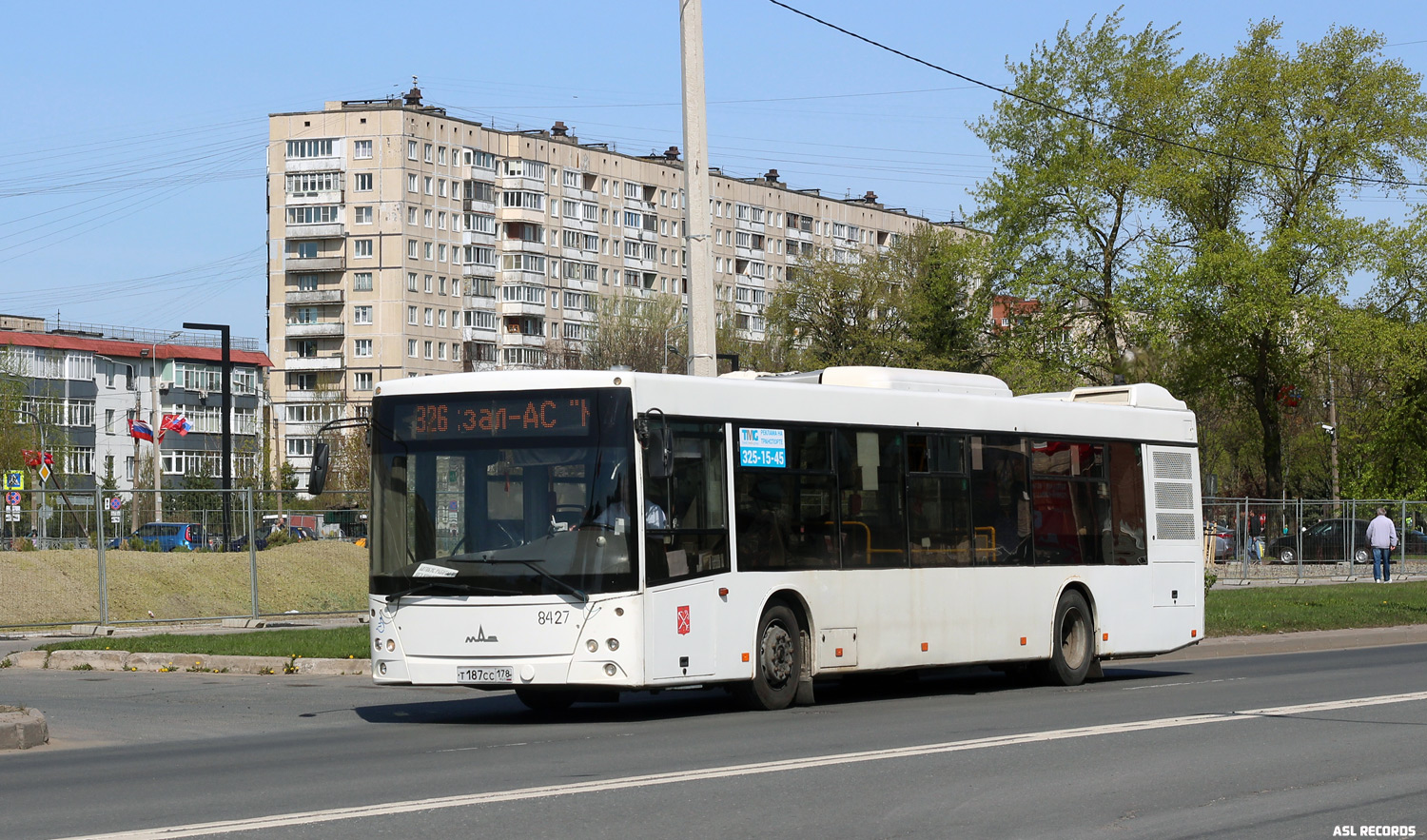 Санкт-Петербург, МАЗ-203.085 № 8427