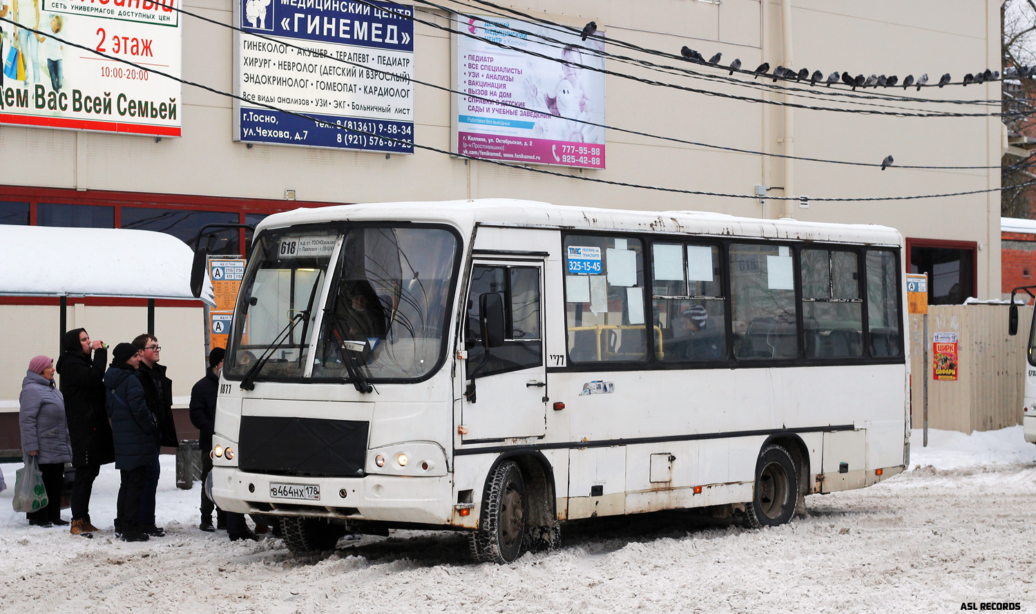 Ленинградская область, ПАЗ-320402-05 № 8877