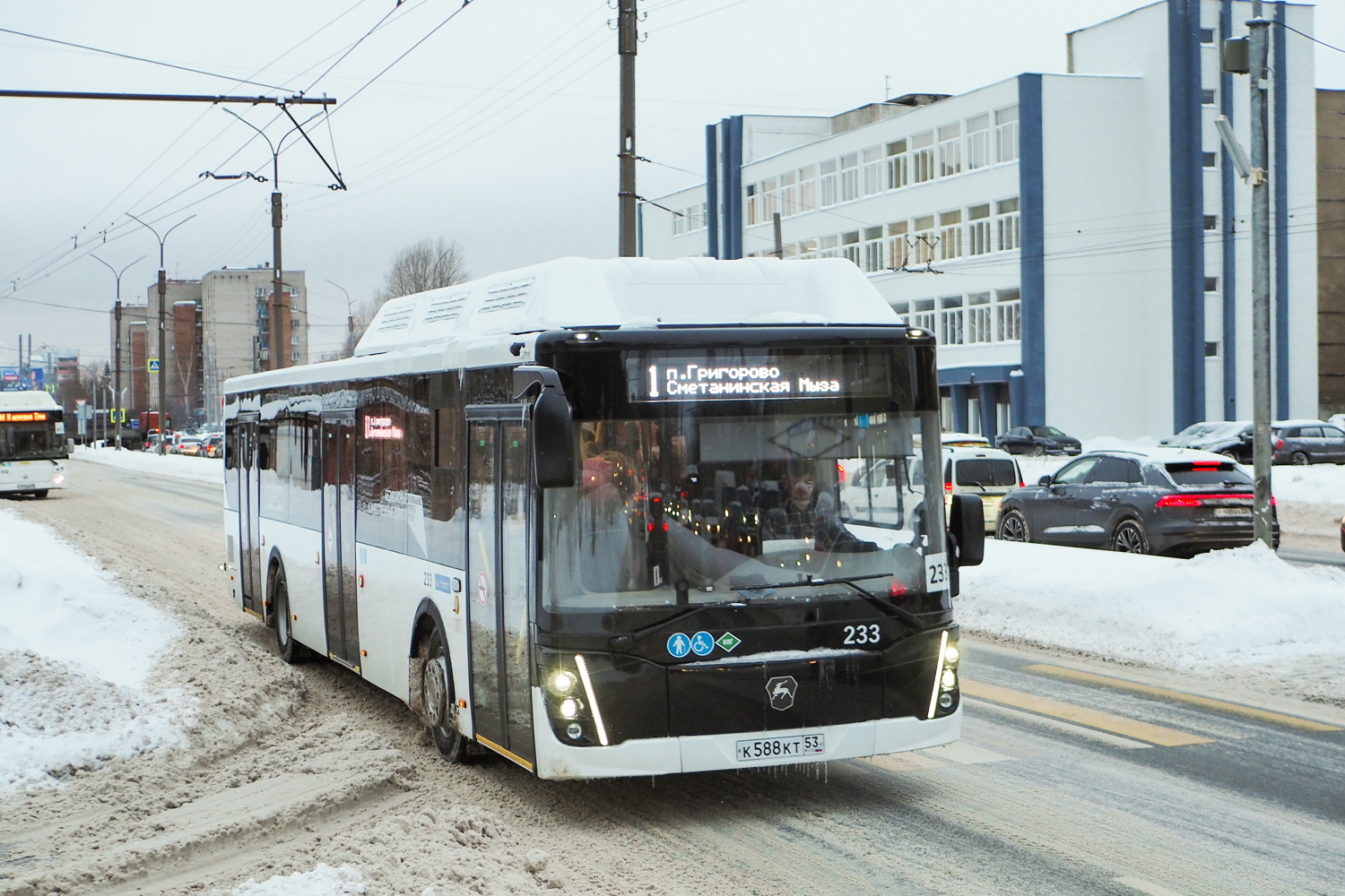 Новгородская область, ЛиАЗ-5292.67 (CNG) № 233