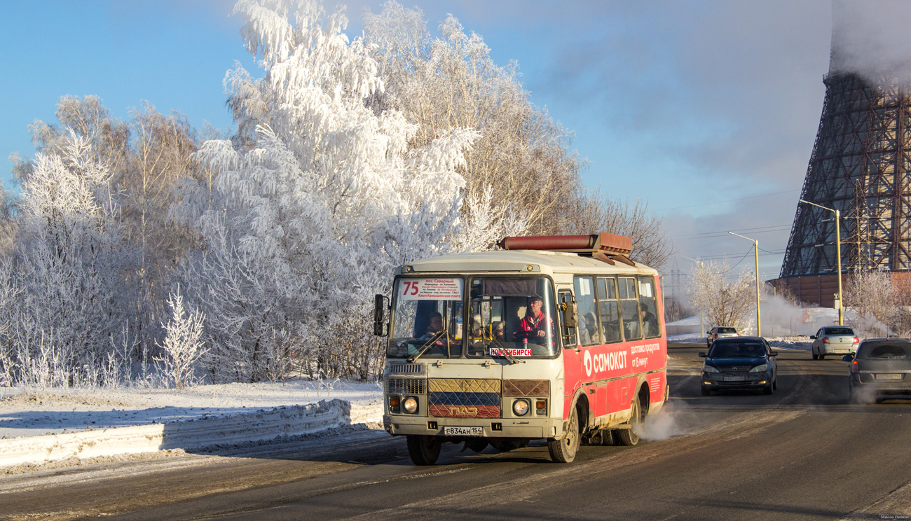 Новосибирская область, ПАЗ-32054 № Е 834 АН 154