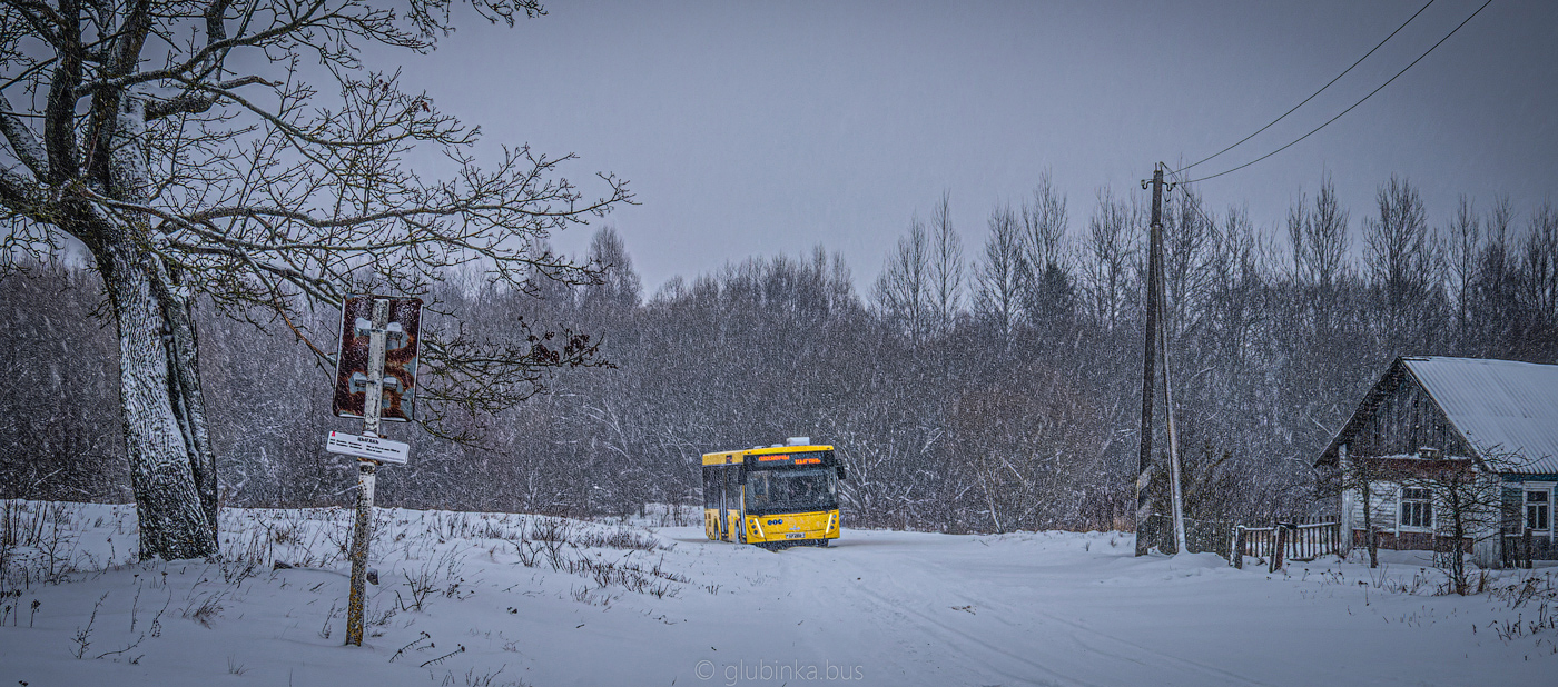 Brest region, МАЗ-206.047 Nr. 22650; Brest region — Miscellaneous photos