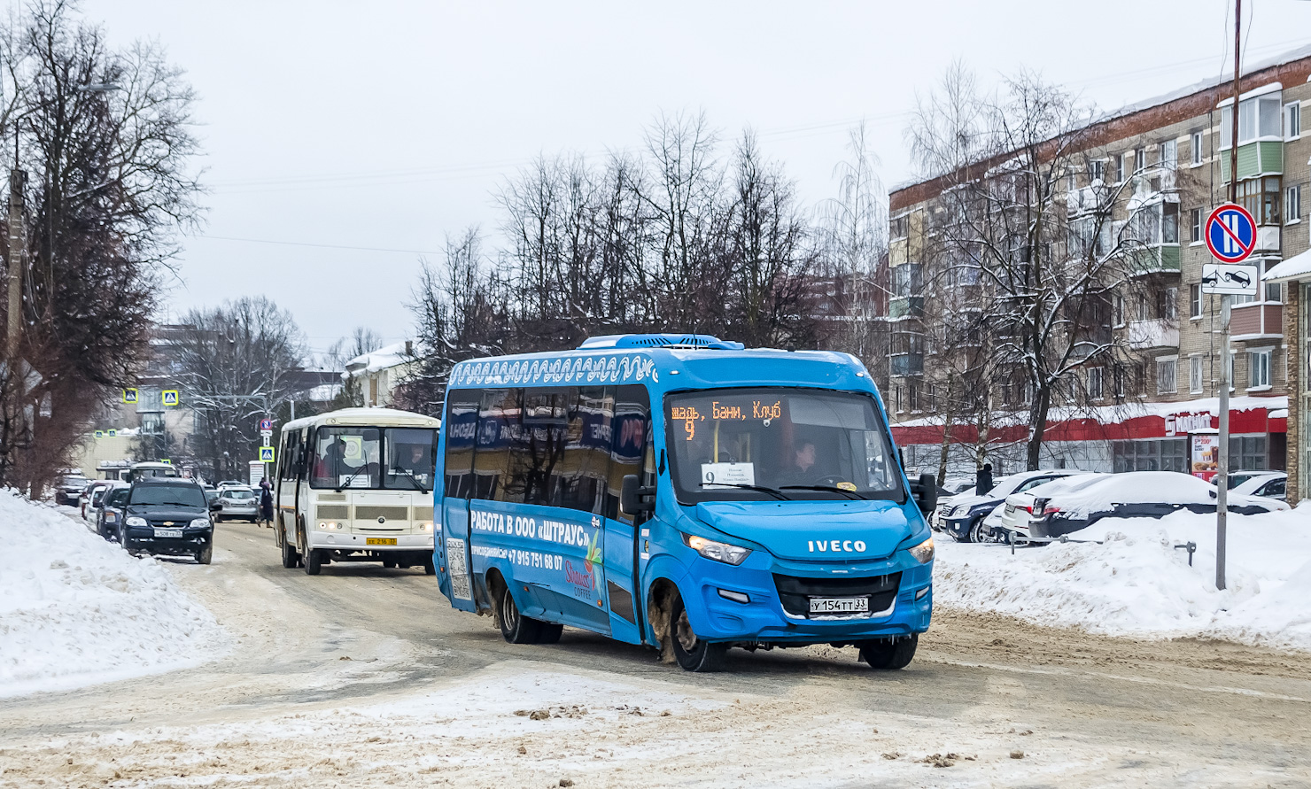 Владимирская область, Нижегородец-VSN700 (IVECO) № У 154 ТТ 33