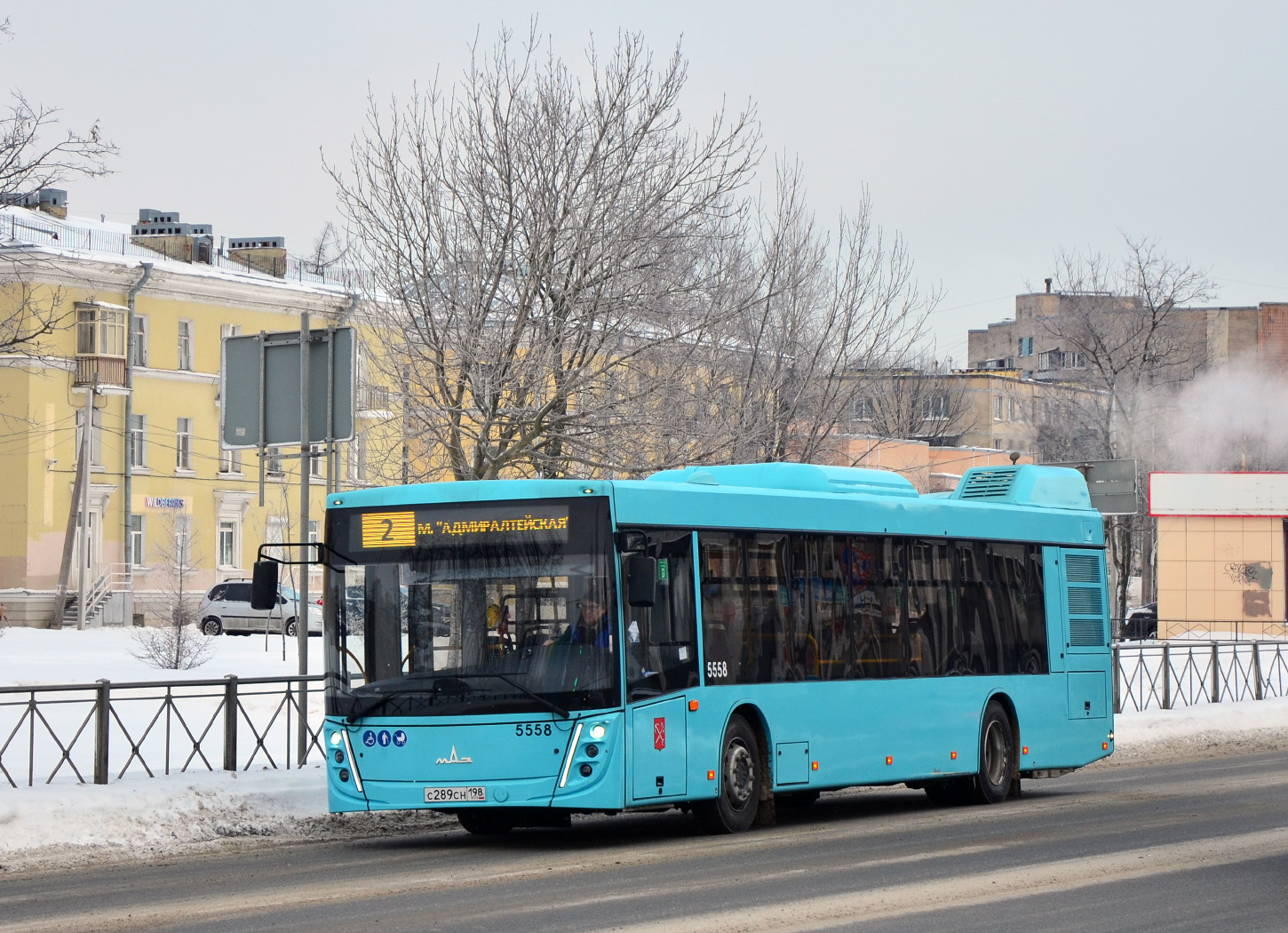 Санкт-Петербург, МАЗ-203.047 № 5558