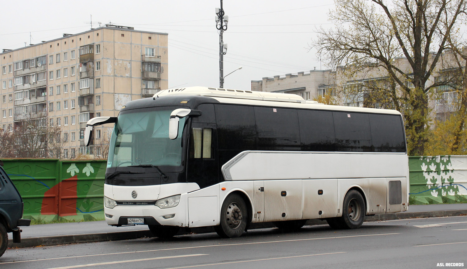 Ленинградская область, Golden Dragon XML6957JR № А 246 ХУ 147