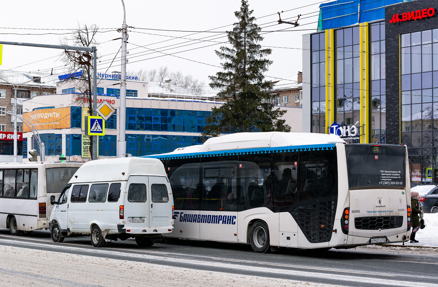 Башкортостан, Луидор-225000 (ГАЗ-322133) № У 307 ХЕ 102