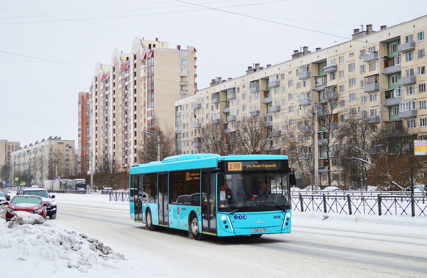 Санкт-Петербург, МАЗ-203.047 № 2646