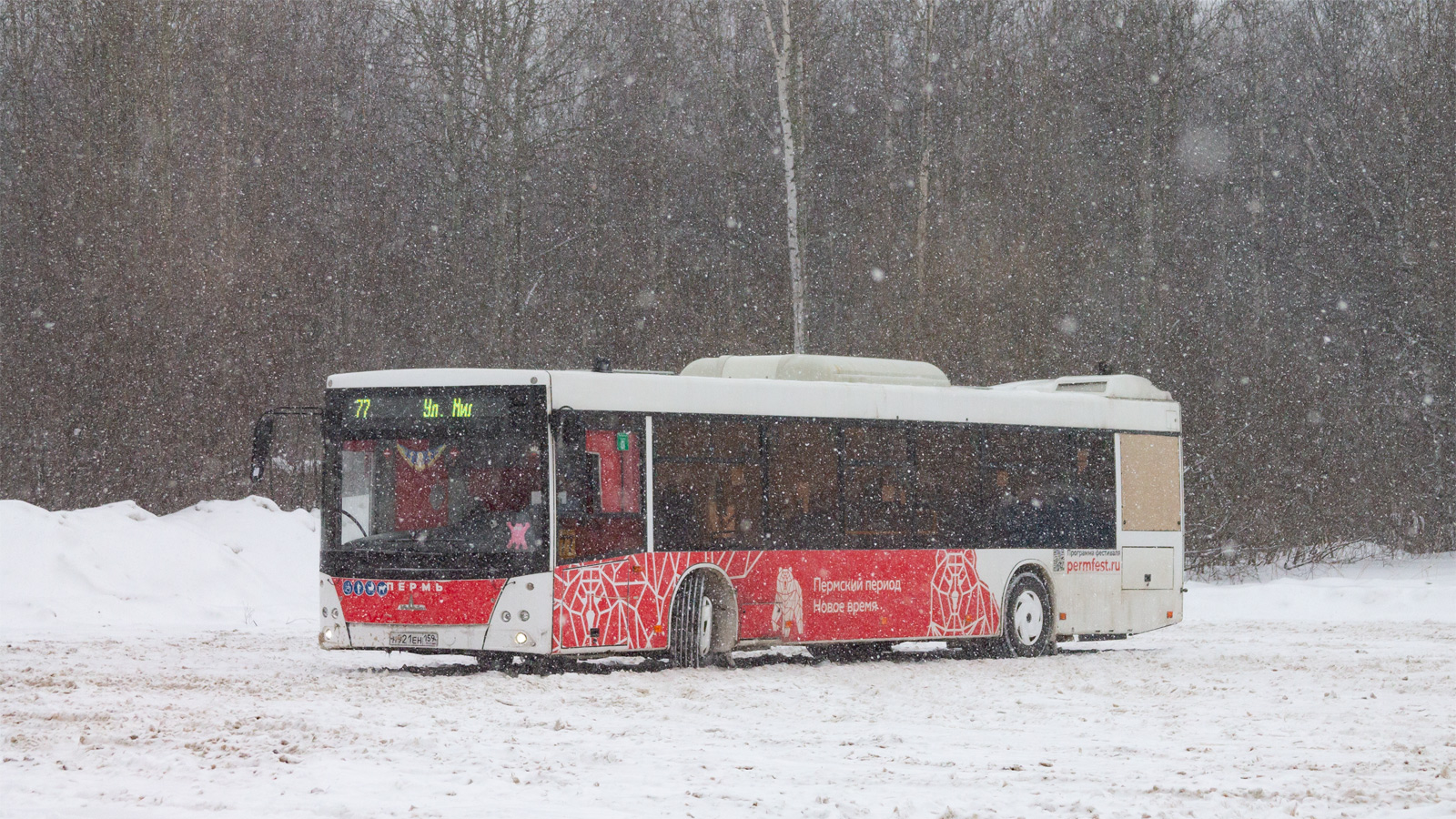 Пермский край, МАЗ-203.016 № Н 921 ЕН 159
