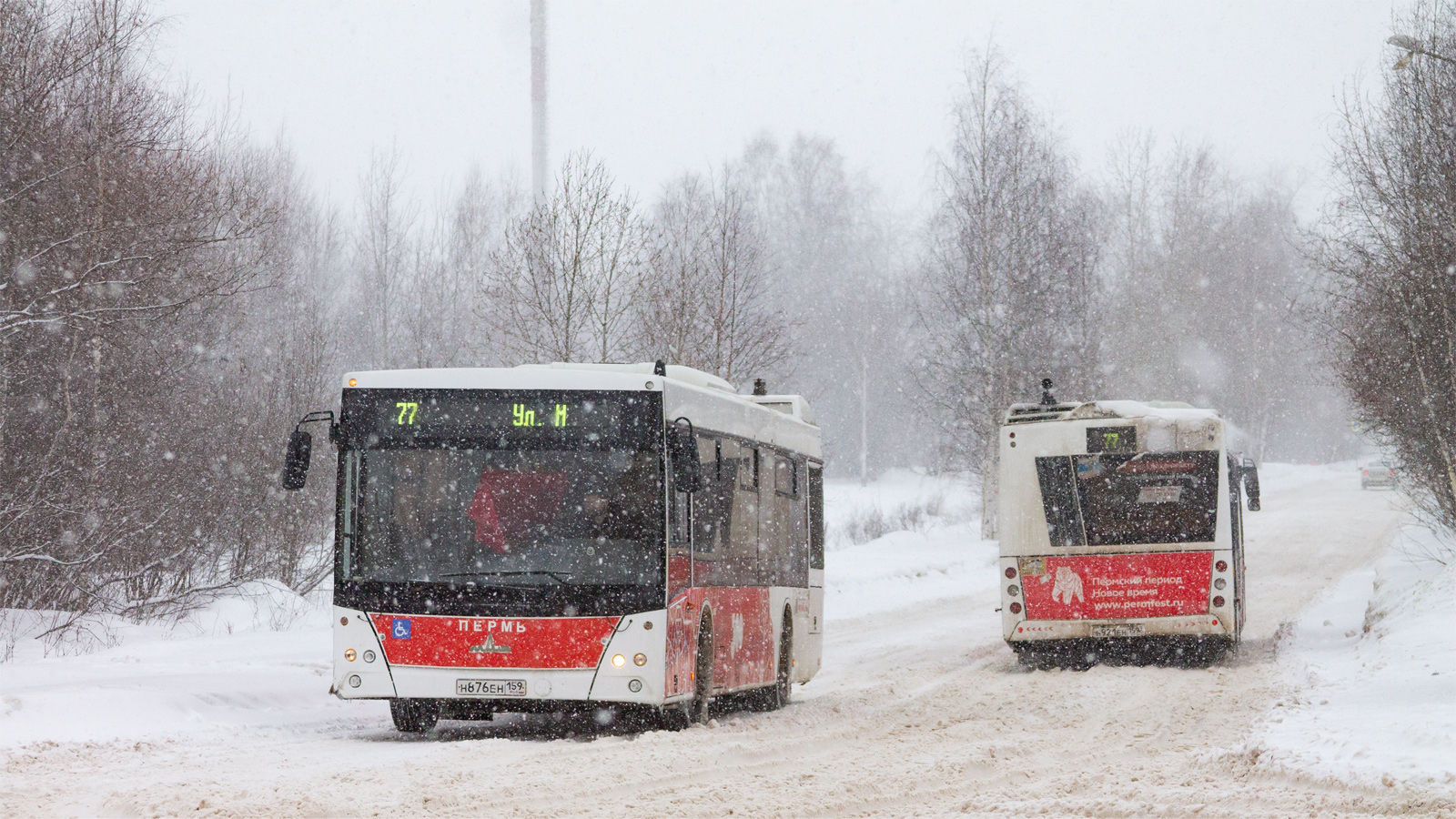 Пермский край, МАЗ-203.016 № Н 876 ЕН 159